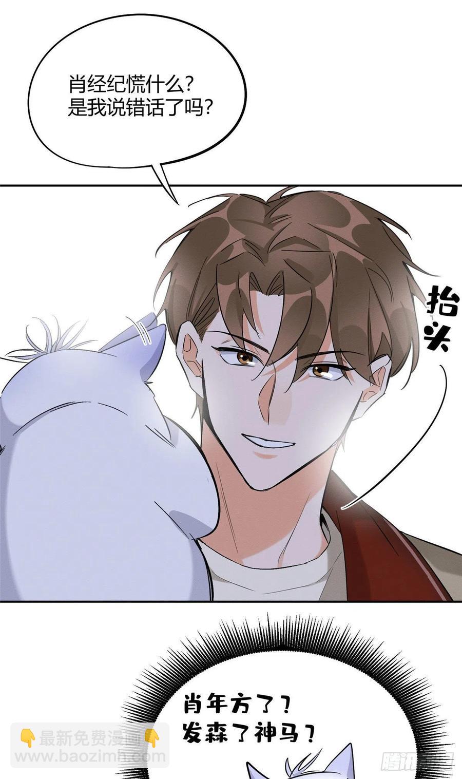 《今天也要努力当只猫》第33话 睹猫思人 第10页