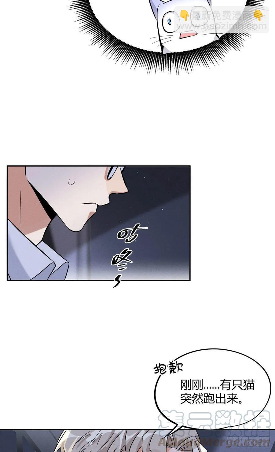 《今天也要努力当只猫》第33话 睹猫思人 第11页