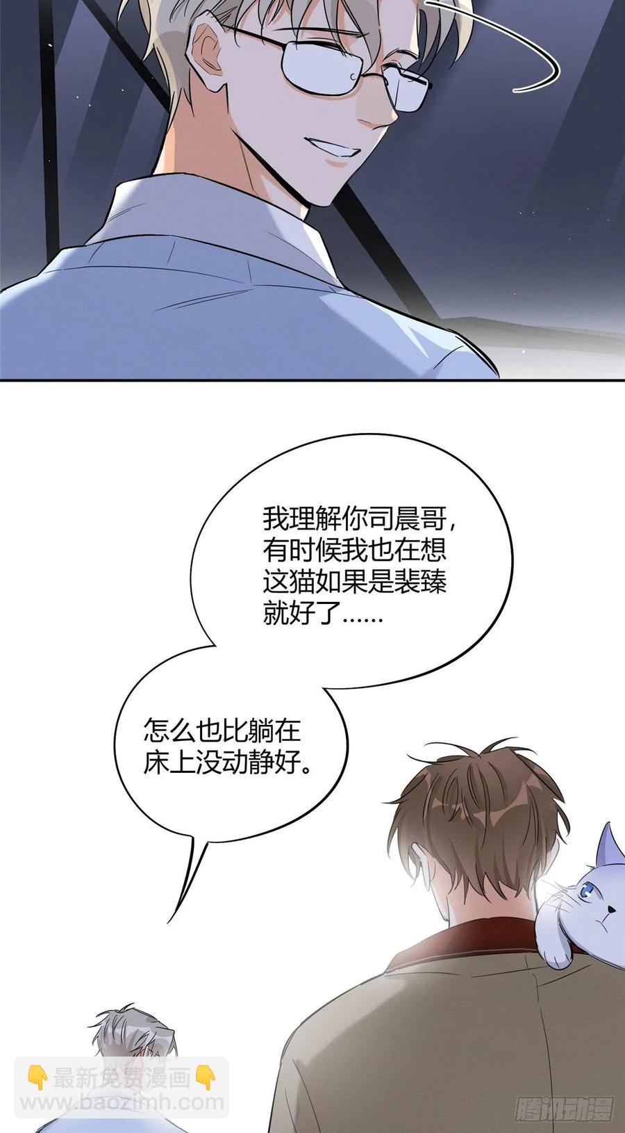 《今天也要努力当只猫》第33话 睹猫思人 第12页