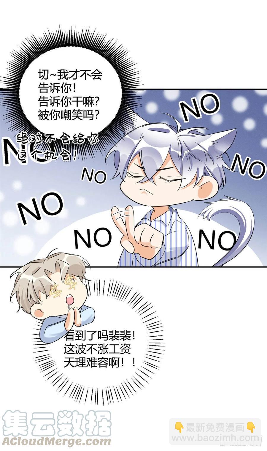 《今天也要努力当只猫》第33话 睹猫思人 第15页