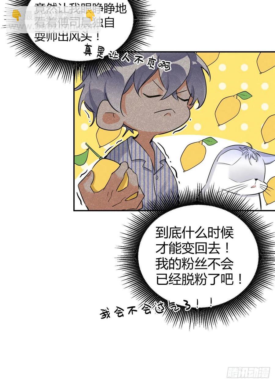 《今天也要努力当只猫》第33话 睹猫思人 第22页