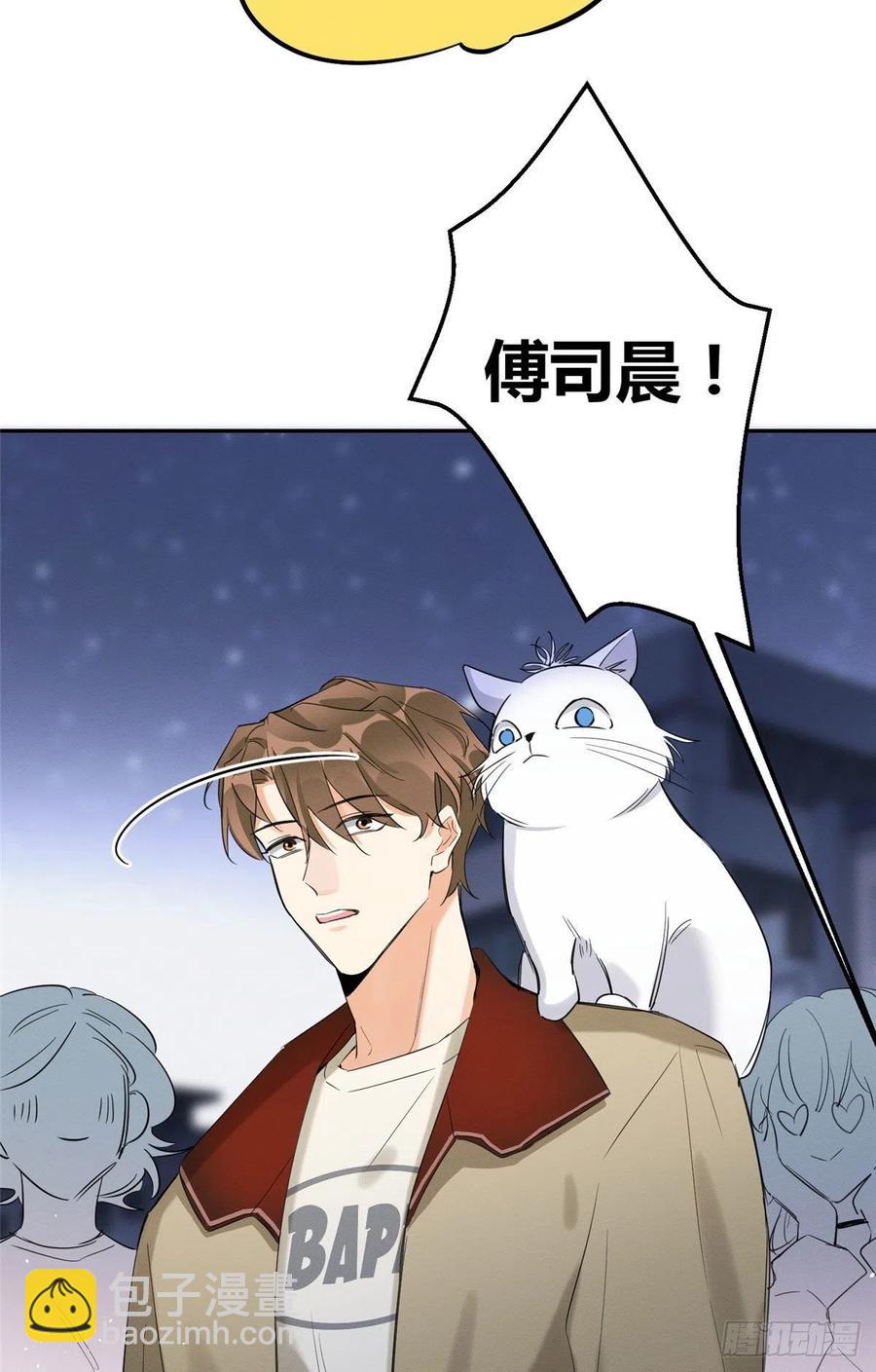 《今天也要努力当只猫》第33话 睹猫思人 第26页