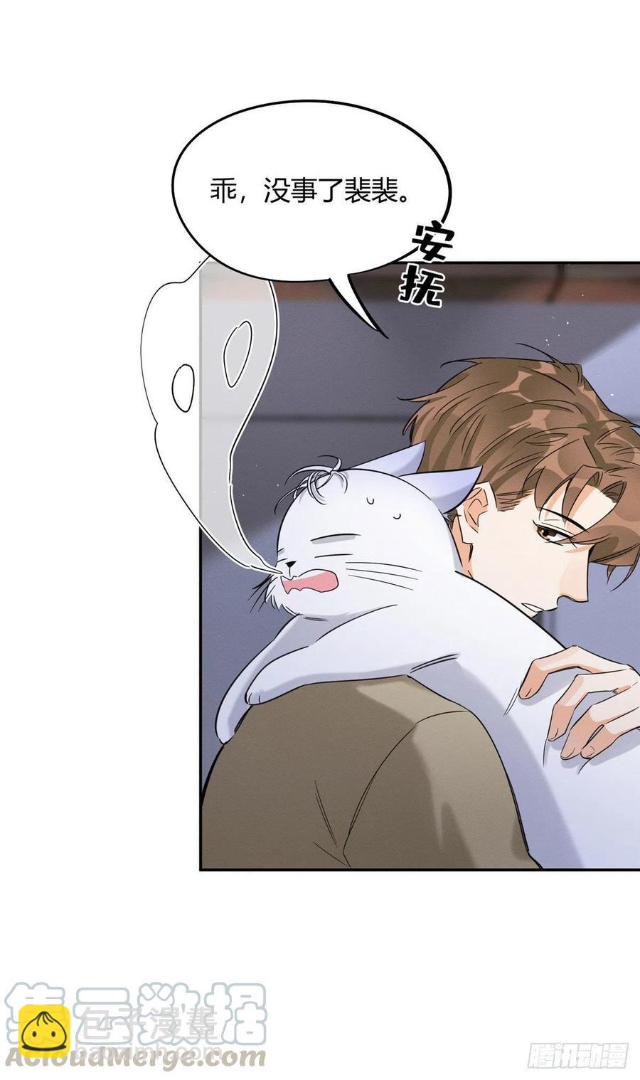 《今天也要努力当只猫》第33话 睹猫思人 第9页