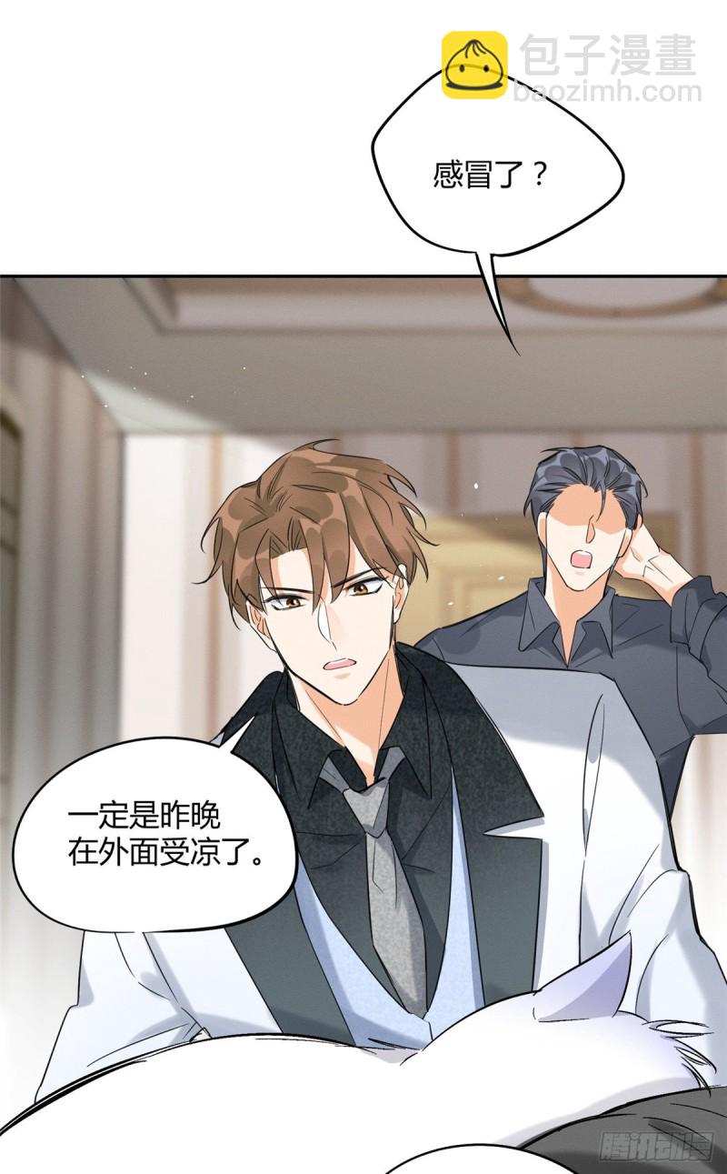 《今天也要努力当只猫》第35话 猫猫病啦 第10页