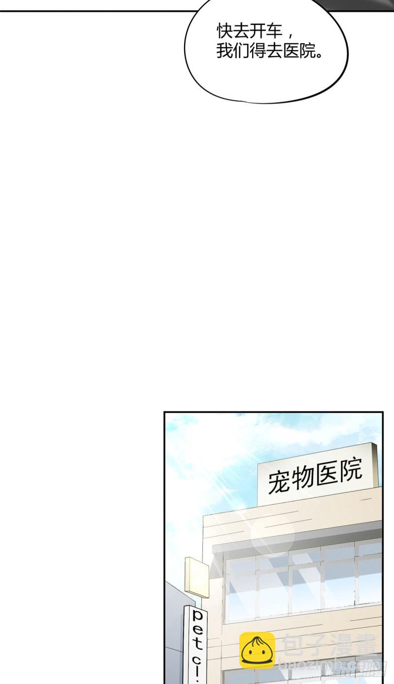 《今天也要努力当只猫》第35话 猫猫病啦 第11页