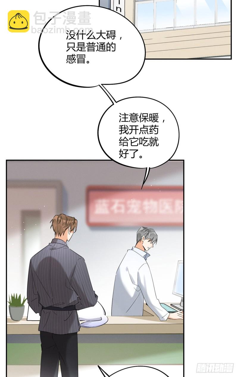 《今天也要努力当只猫》第35话 猫猫病啦 第12页