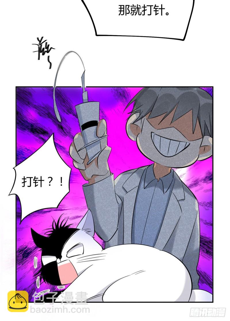 《今天也要努力当只猫》第35话 猫猫病啦 第14页
