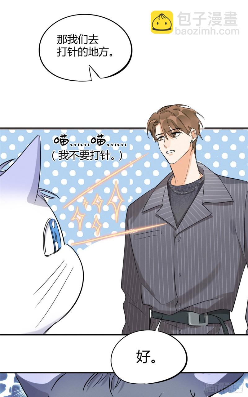 《今天也要努力当只猫》第35话 猫猫病啦 第15页