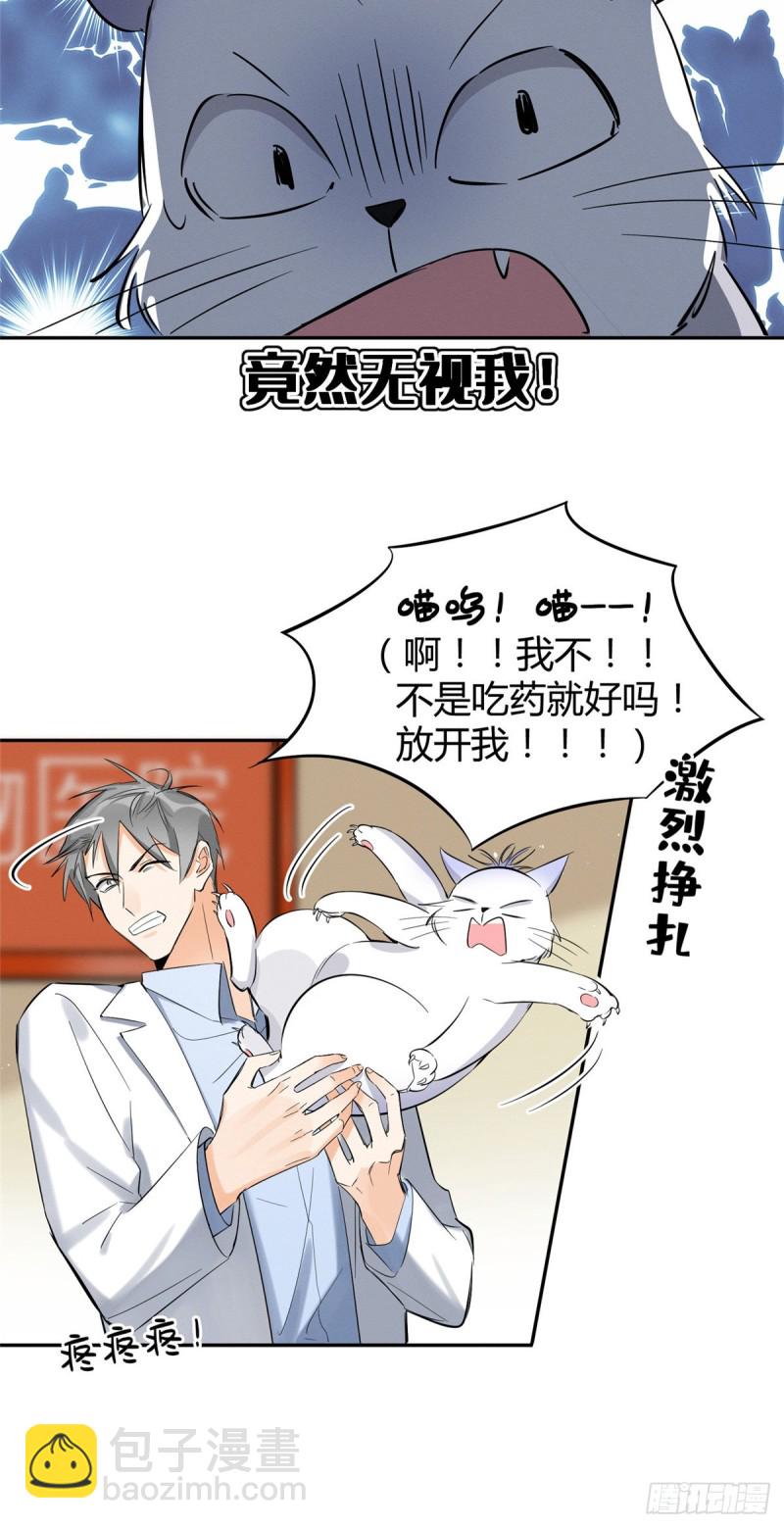 《今天也要努力当只猫》第35话 猫猫病啦 第16页