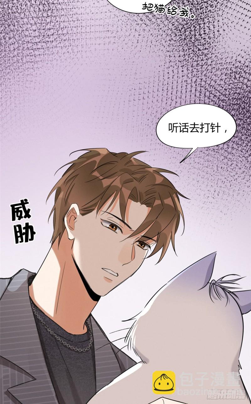 《今天也要努力当只猫》第35话 猫猫病啦 第18页