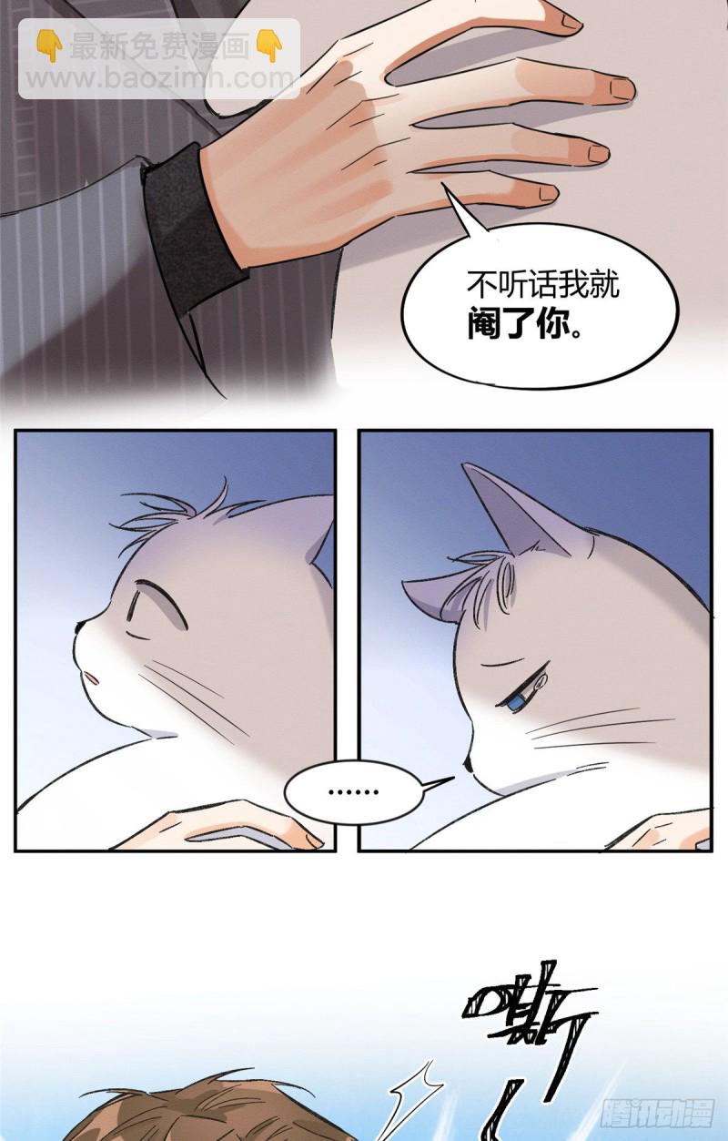 《今天也要努力当只猫》第35话 猫猫病啦 第19页