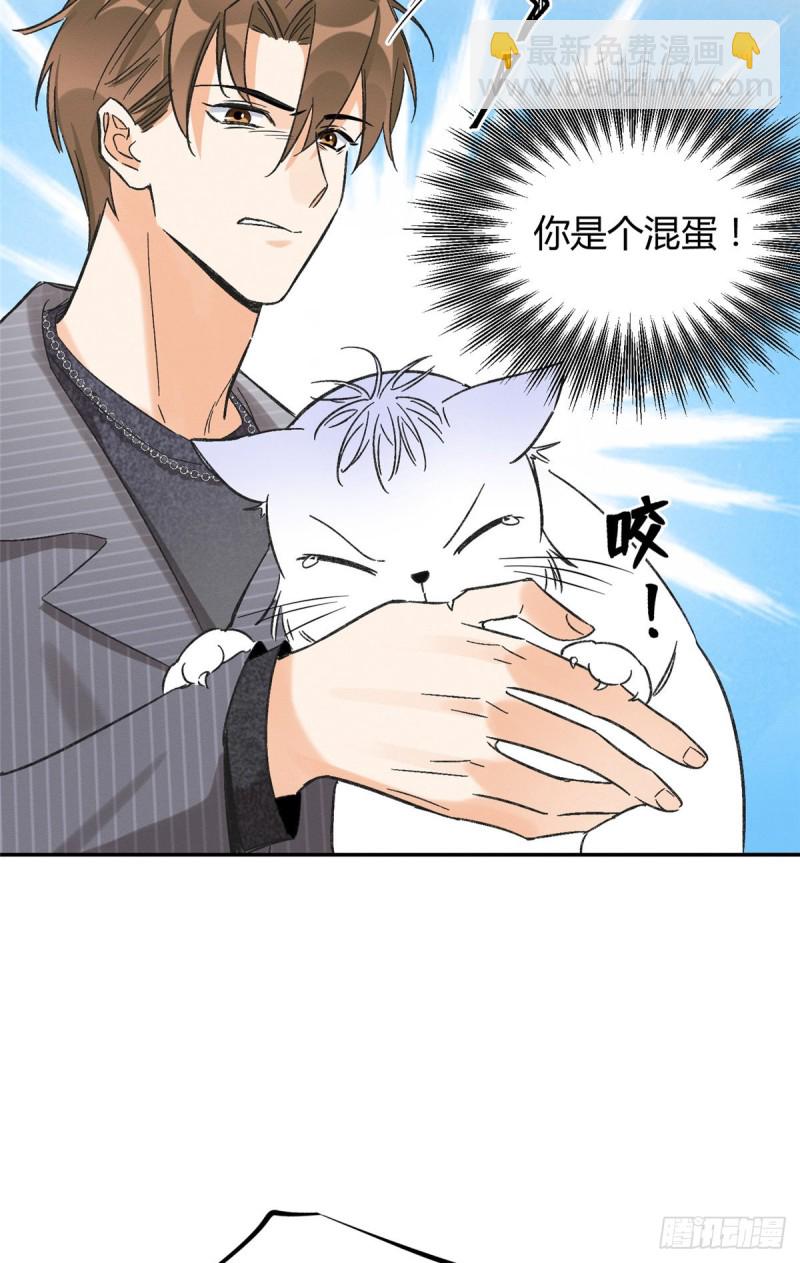 《今天也要努力当只猫》第35话 猫猫病啦 第20页