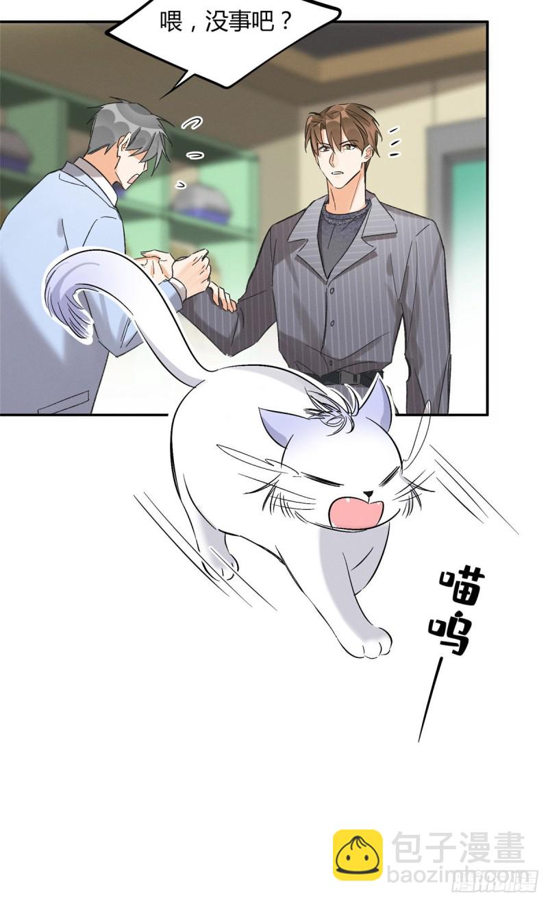 《今天也要努力当只猫》第35话 猫猫病啦 第21页