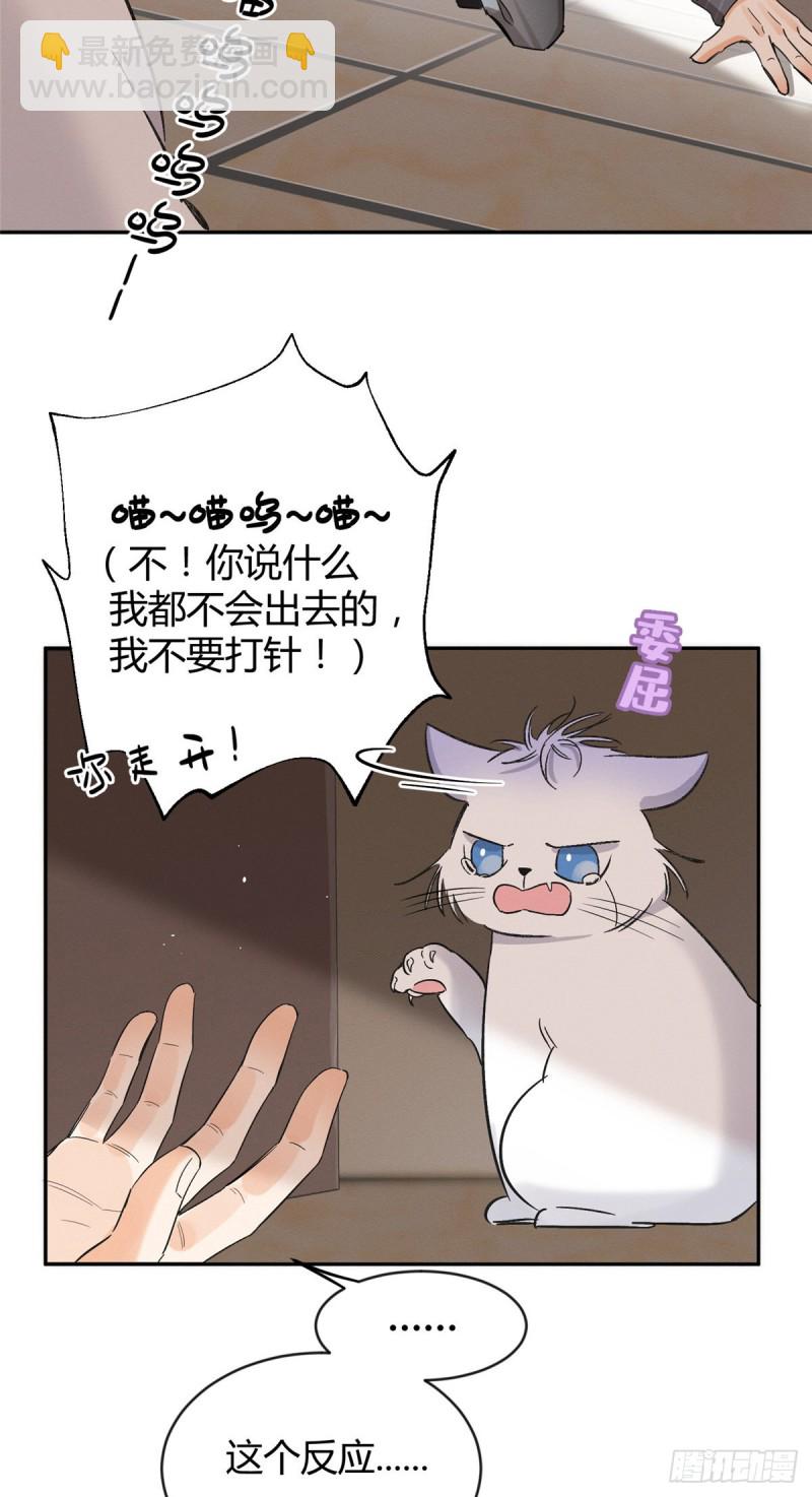 《今天也要努力当只猫》第35话 猫猫病啦 第24页