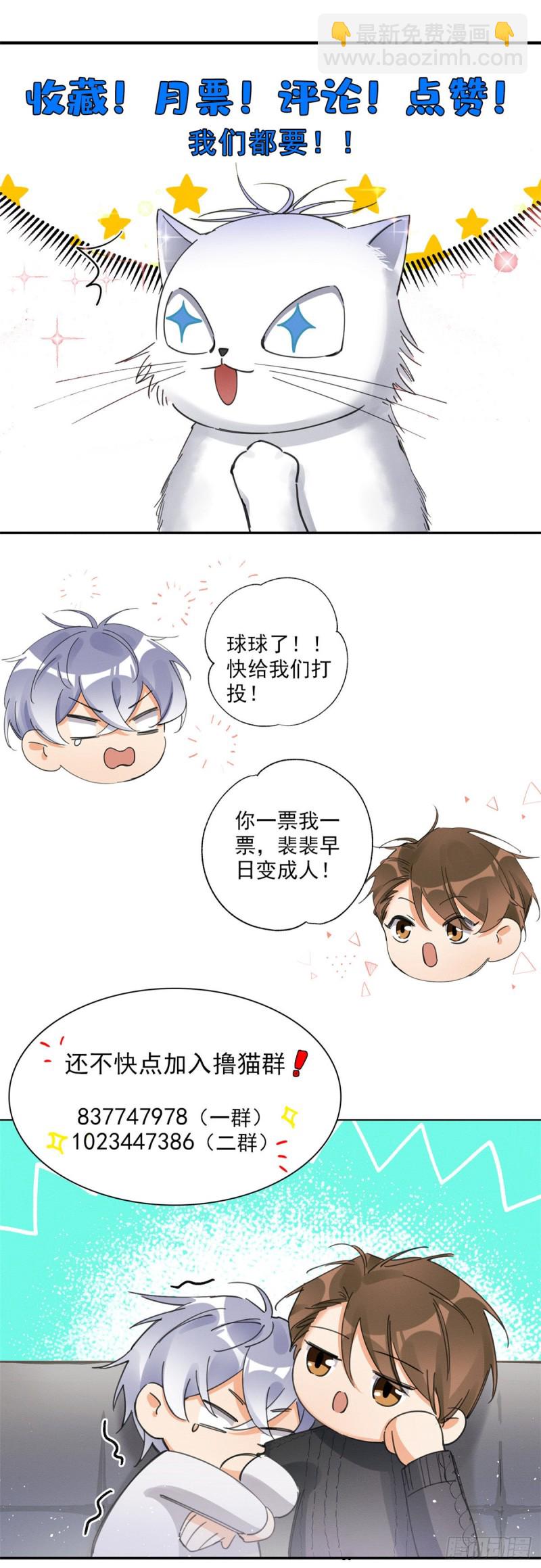 《今天也要努力当只猫》第35话 猫猫病啦 第31页