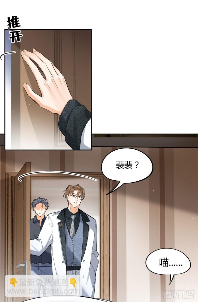 《今天也要努力当只猫》第35话 猫猫病啦 第7页