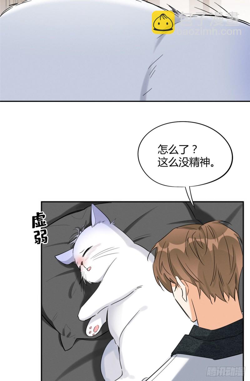 《今天也要努力当只猫》第35话 猫猫病啦 第8页