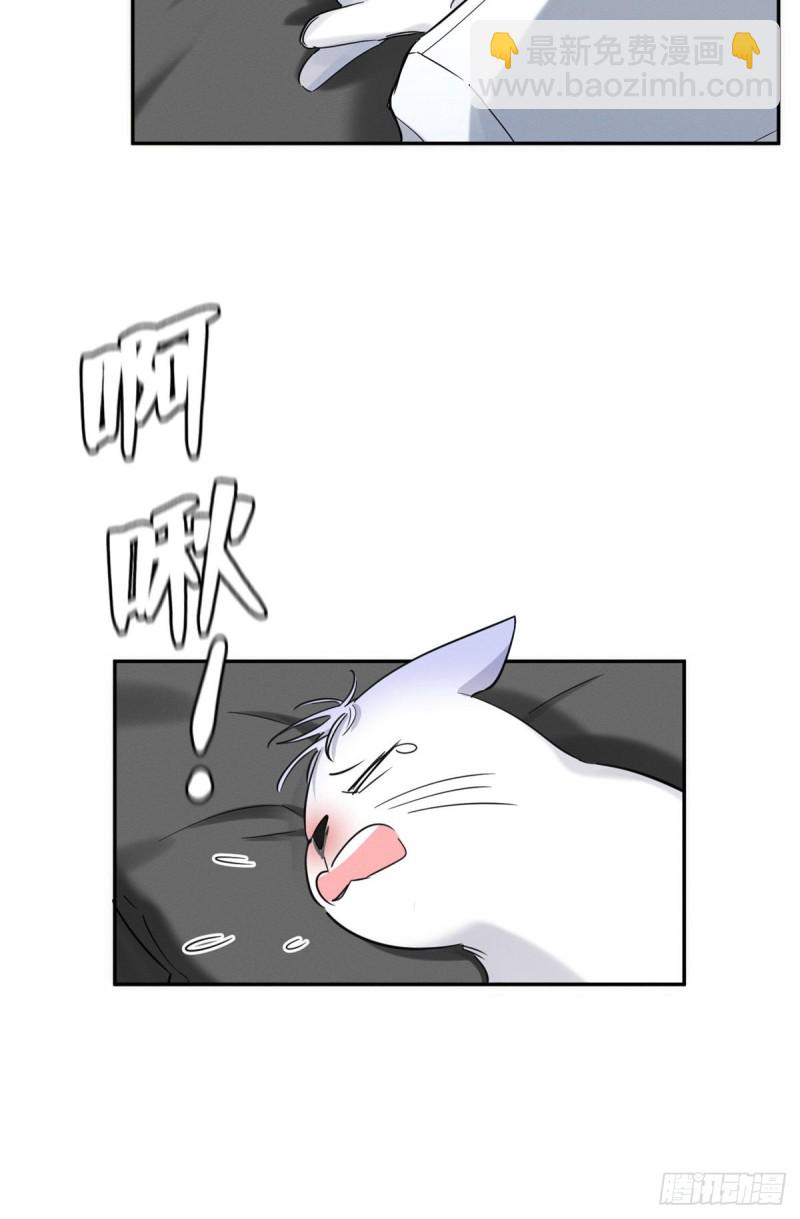 《今天也要努力当只猫》第35话 猫猫病啦 第9页