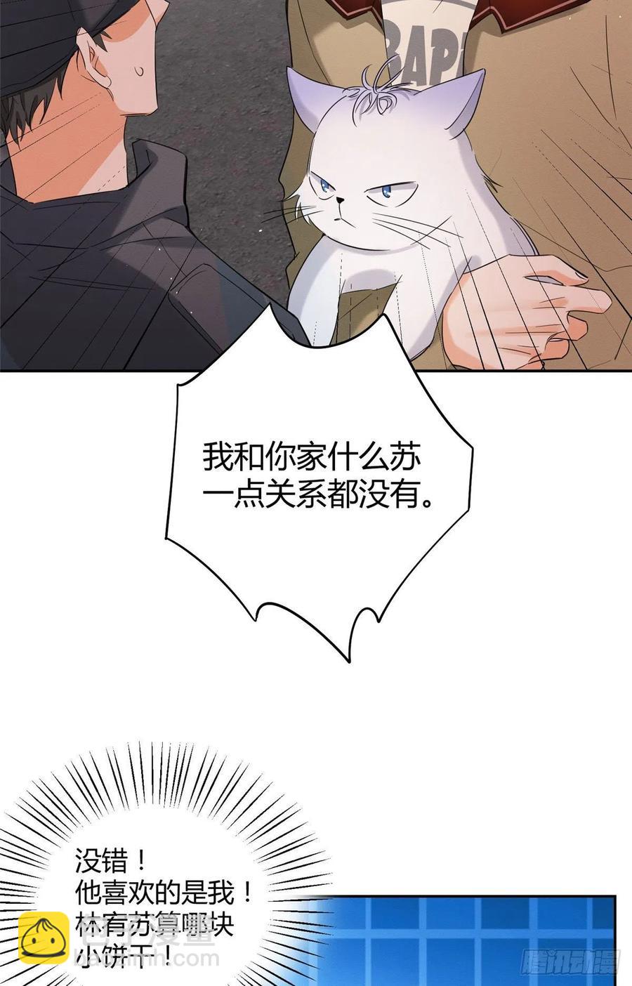 《今天也要努力当只猫》第34话 人猫CP 第16页