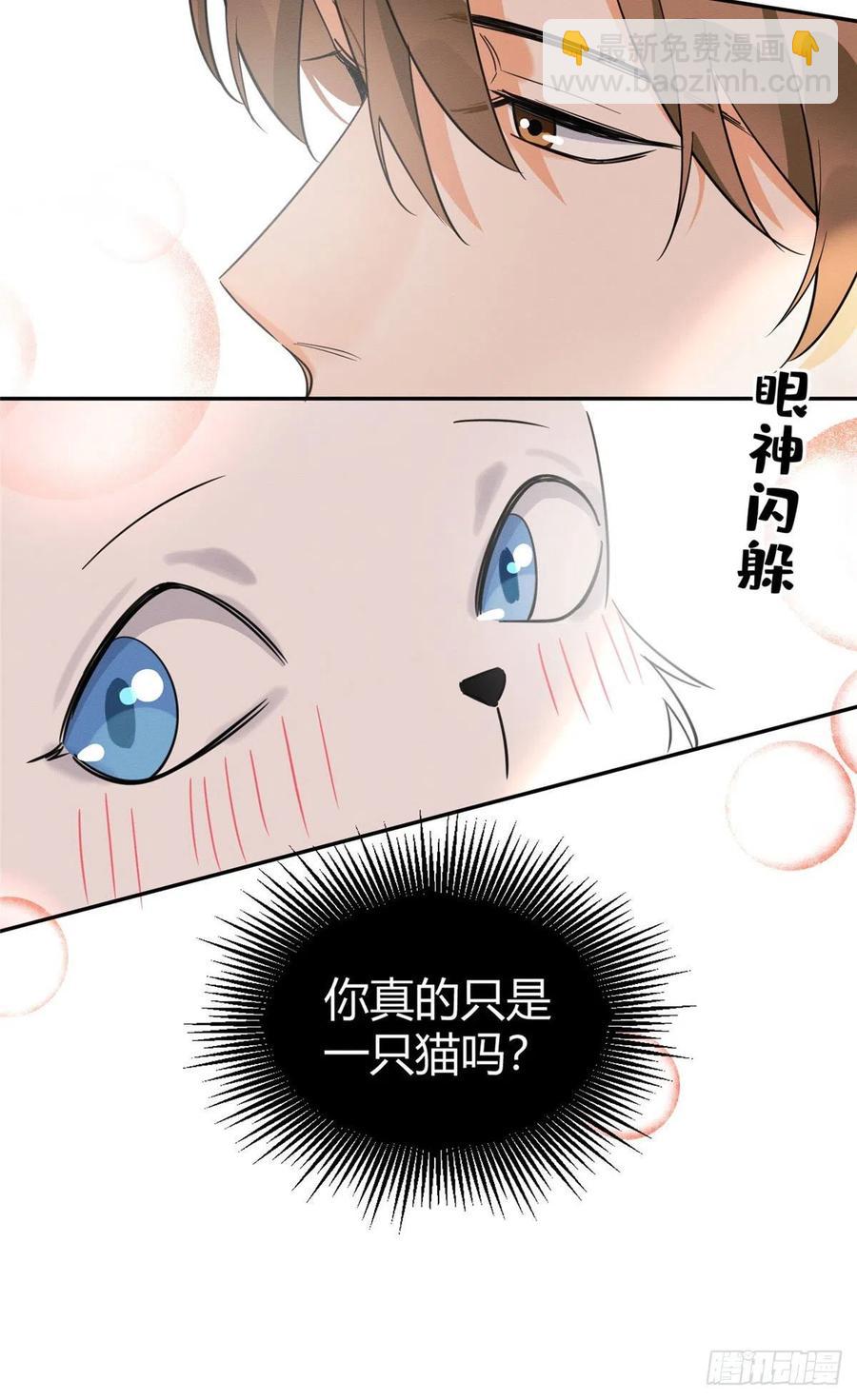 《今天也要努力当只猫》第34话 人猫CP 第32页