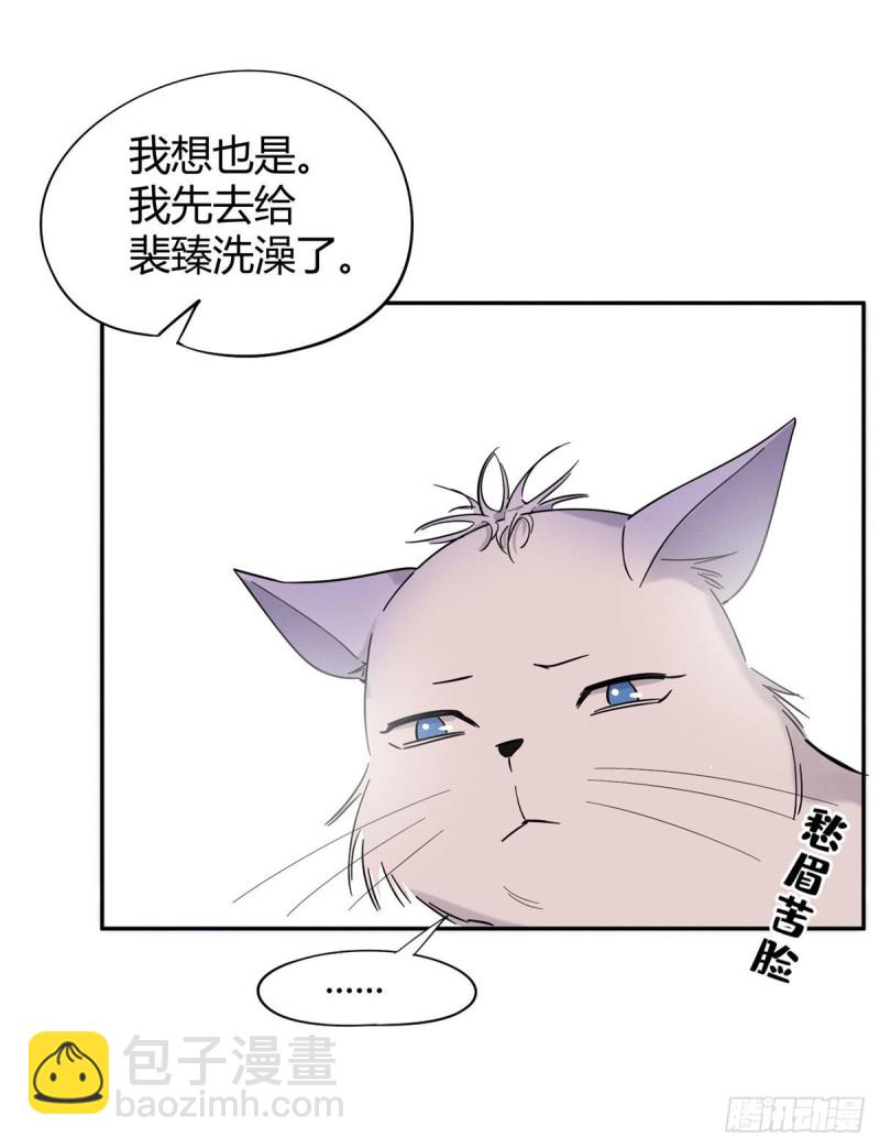 《今天也要努力当只猫》第38话 吻？能醒吗 第15页