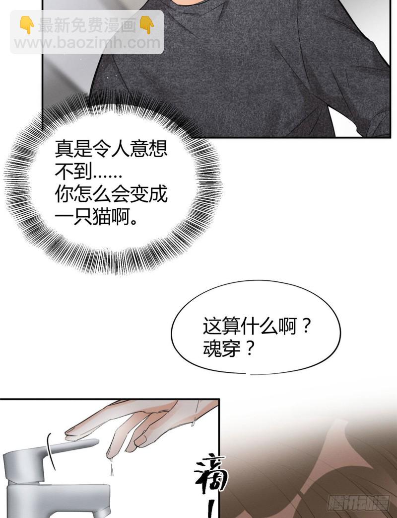 《今天也要努力当只猫》第38话 吻？能醒吗 第19页