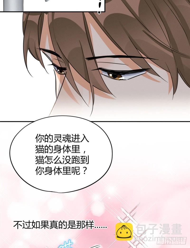 《今天也要努力当只猫》第38话 吻？能醒吗 第20页