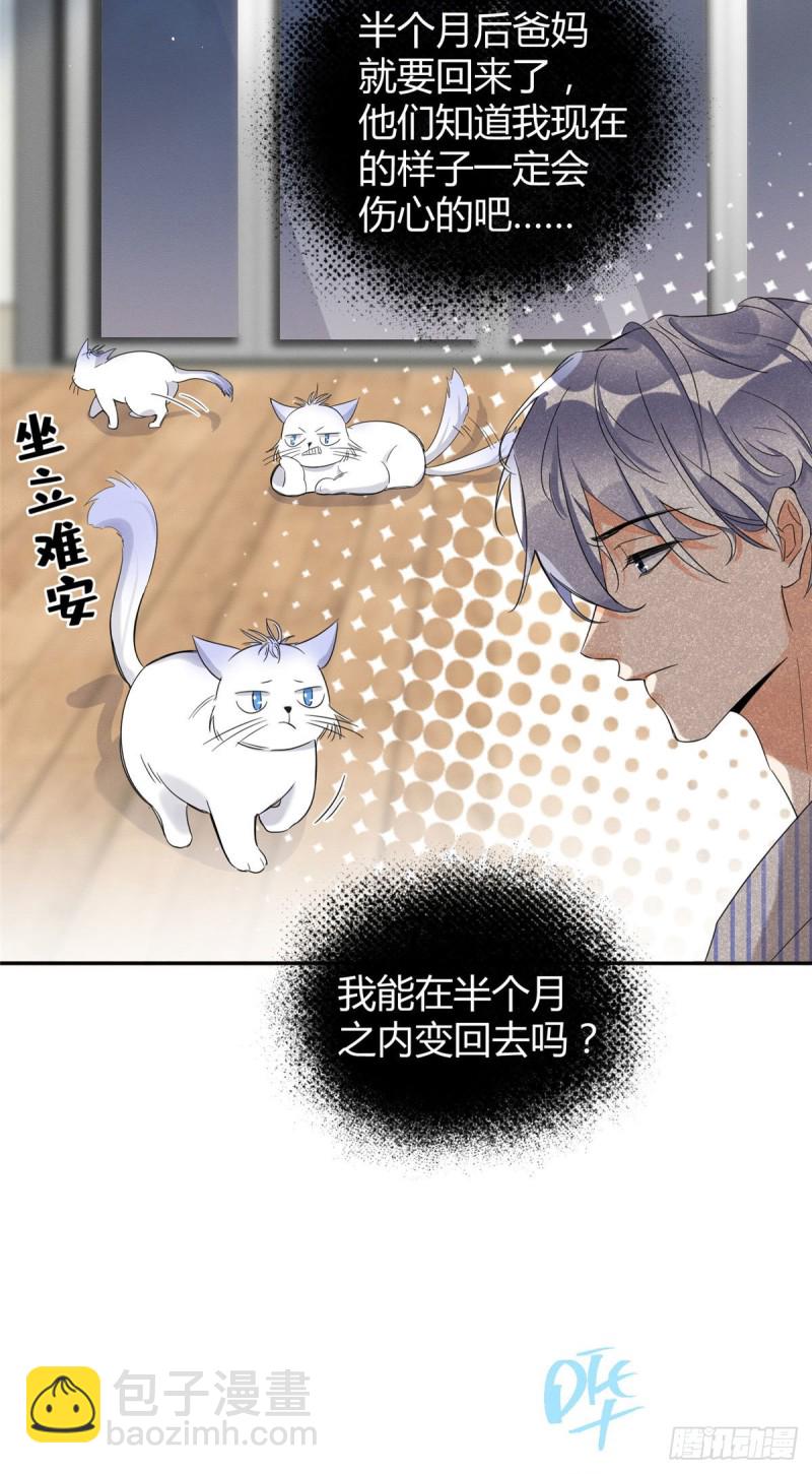 《今天也要努力当只猫》第38话 吻？能醒吗 第25页