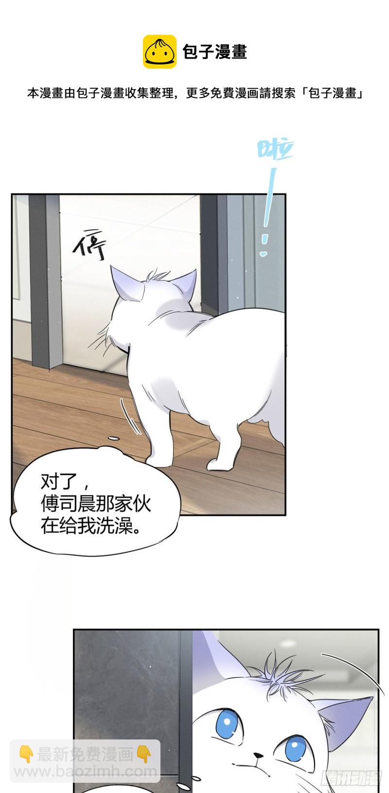 《今天也要努力当只猫》第38话 吻？能醒吗 第26页