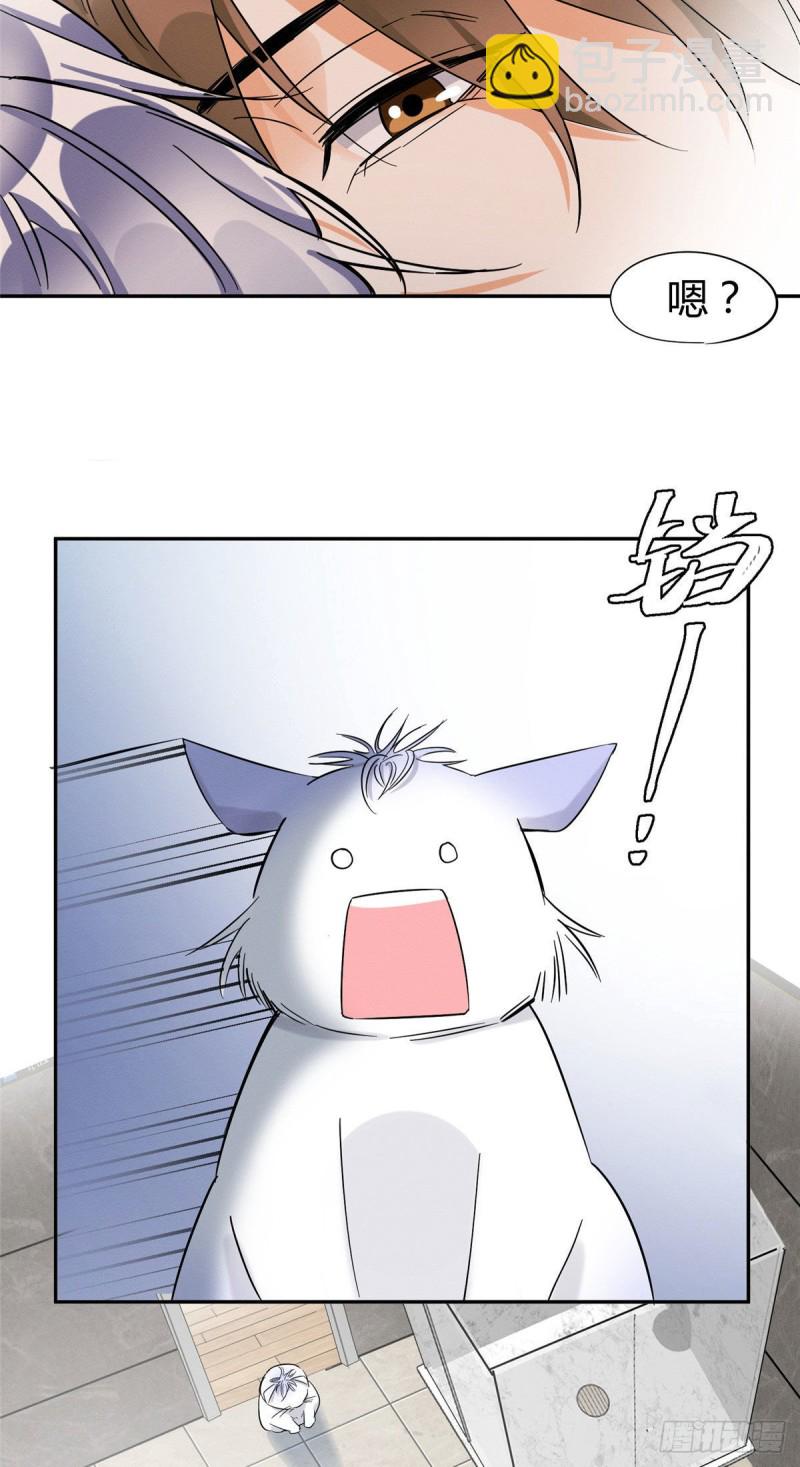 《今天也要努力当只猫》第38话 吻？能醒吗 第29页