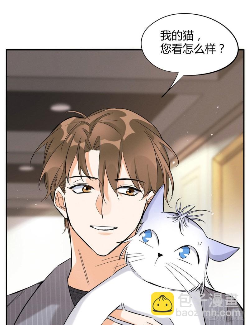 《今天也要努力当只猫》第38话 吻？能醒吗 第2页