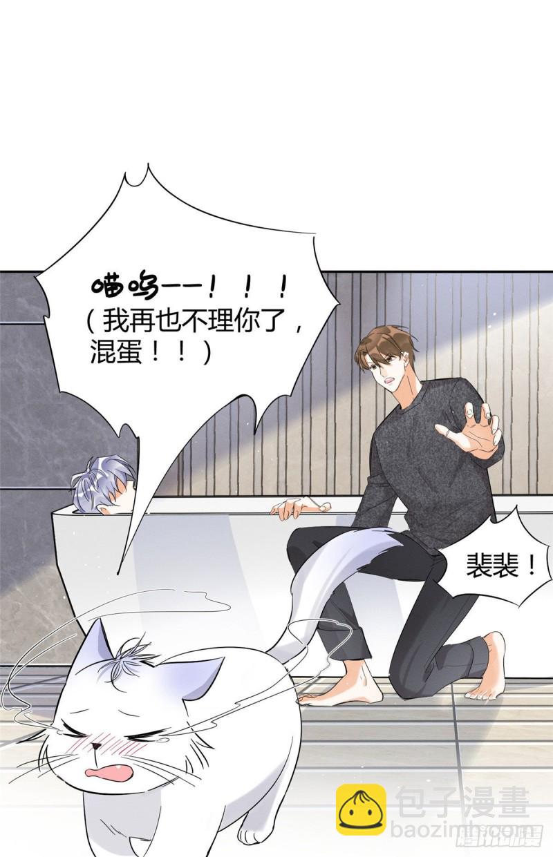 《今天也要努力当只猫》第38话 吻？能醒吗 第33页