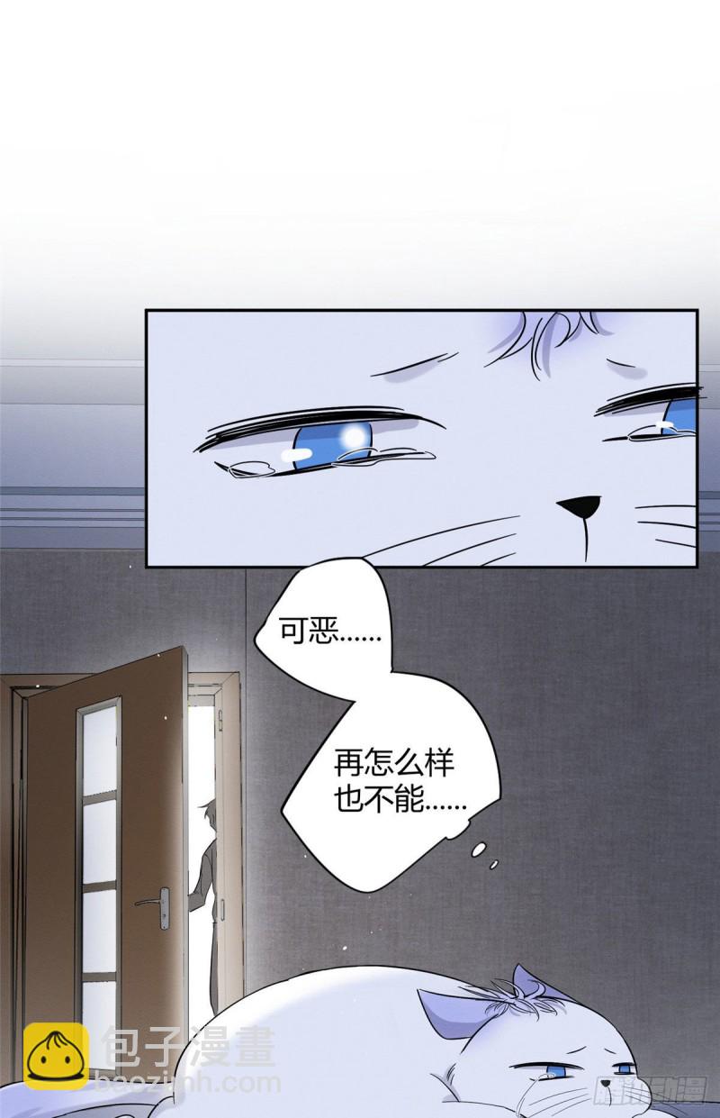 《今天也要努力当只猫》第38话 吻？能醒吗 第35页