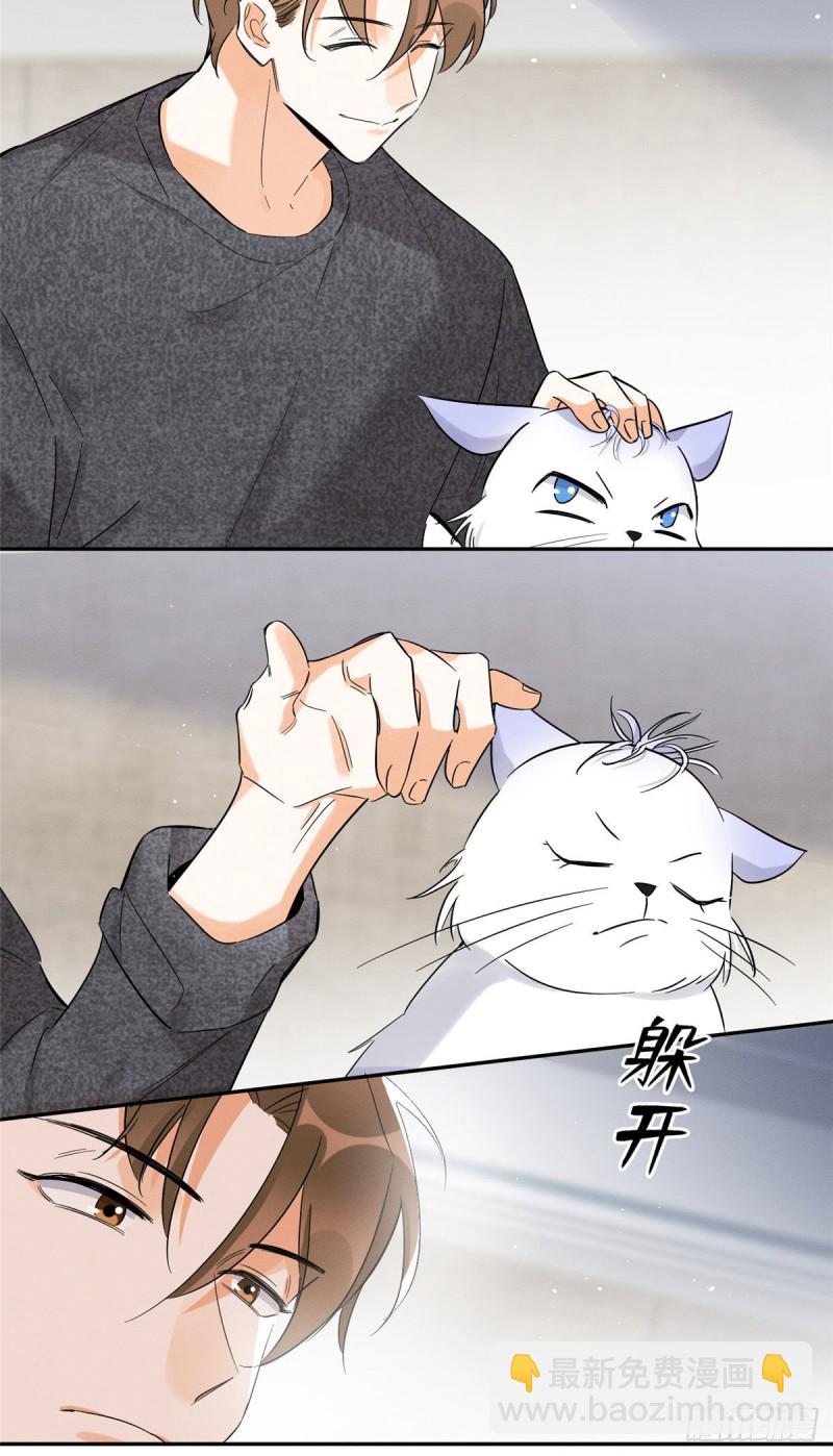 《今天也要努力当只猫》第38话 吻？能醒吗 第38页