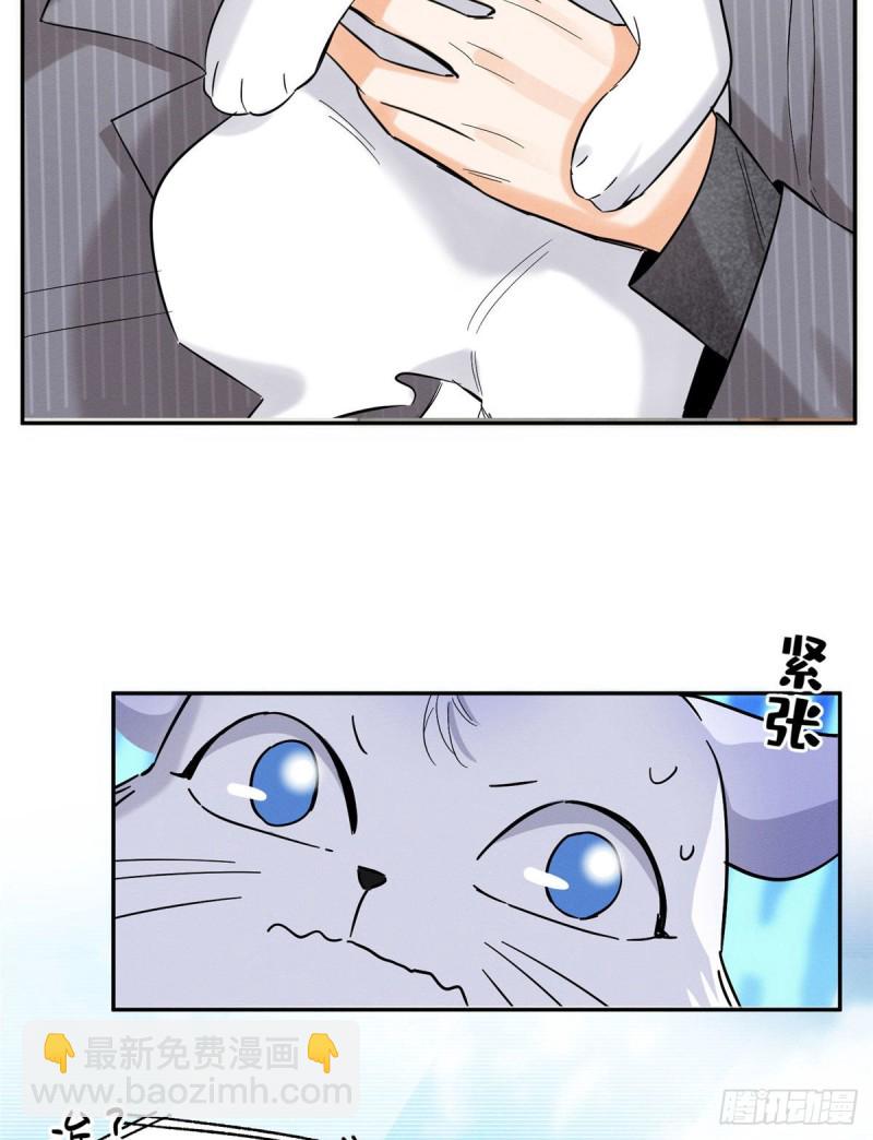 《今天也要努力当只猫》第38话 吻？能醒吗 第3页