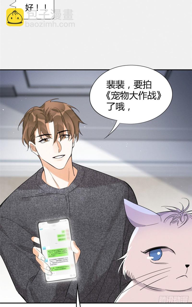 《今天也要努力当只猫》第38话 吻？能醒吗 第41页
