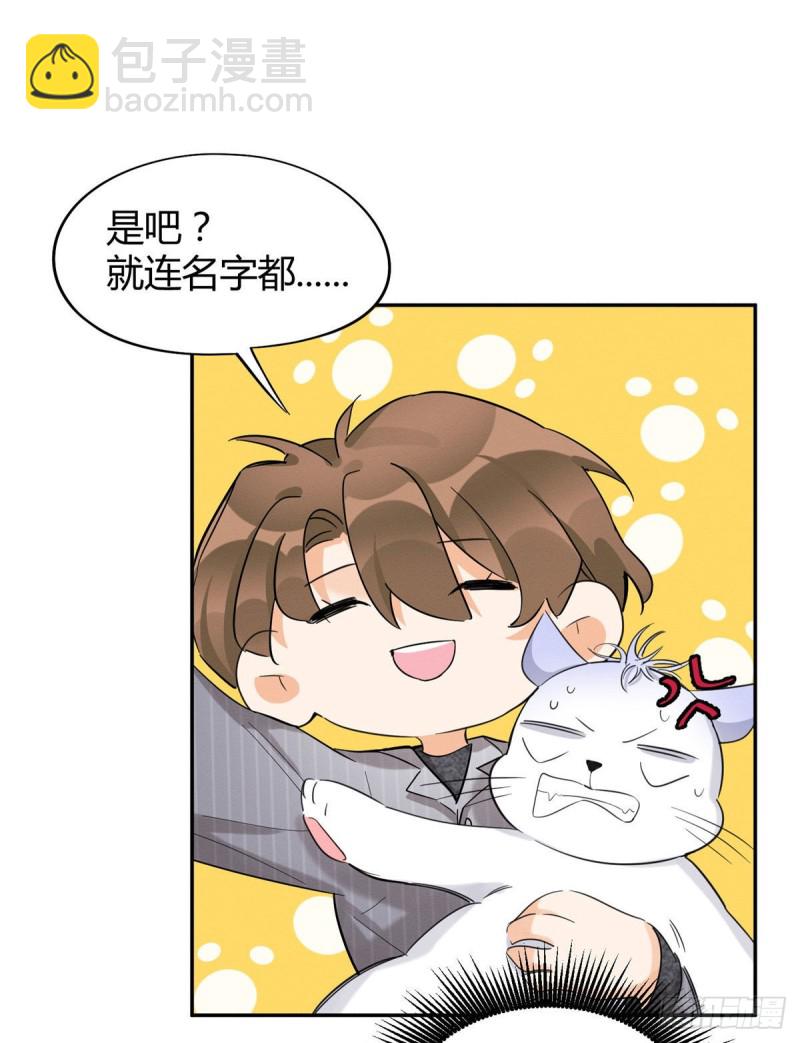 《今天也要努力当只猫》第38话 吻？能醒吗 第6页
