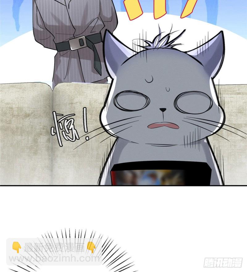 《今天也要努力当只猫》第37话 你就是裴臻 第11页