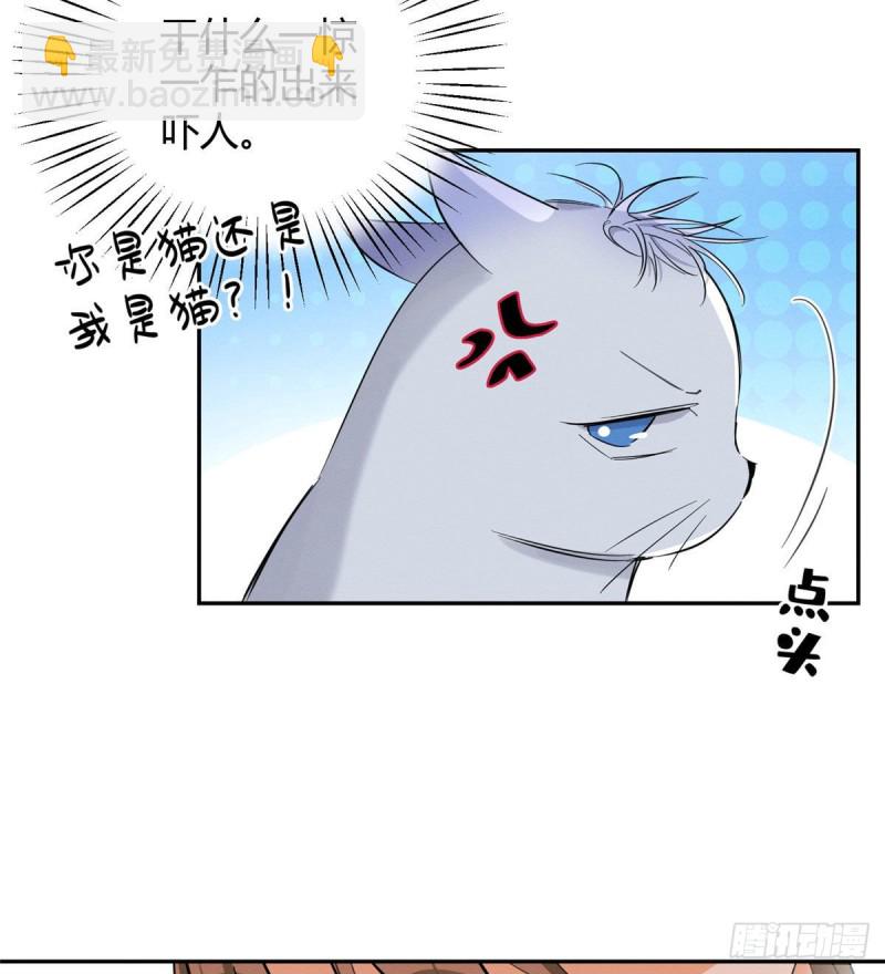 《今天也要努力当只猫》第37话 你就是裴臻 第12页