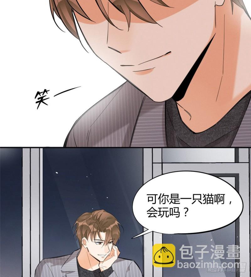 《今天也要努力当只猫》第37话 你就是裴臻 第13页