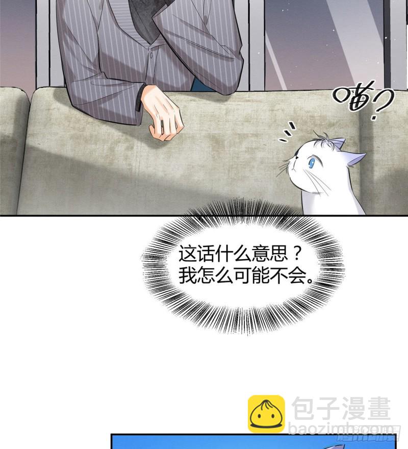 《今天也要努力当只猫》第37话 你就是裴臻 第14页