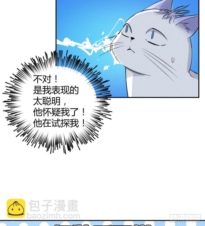 《今天也要努力当只猫》第37话 你就是裴臻 第15页