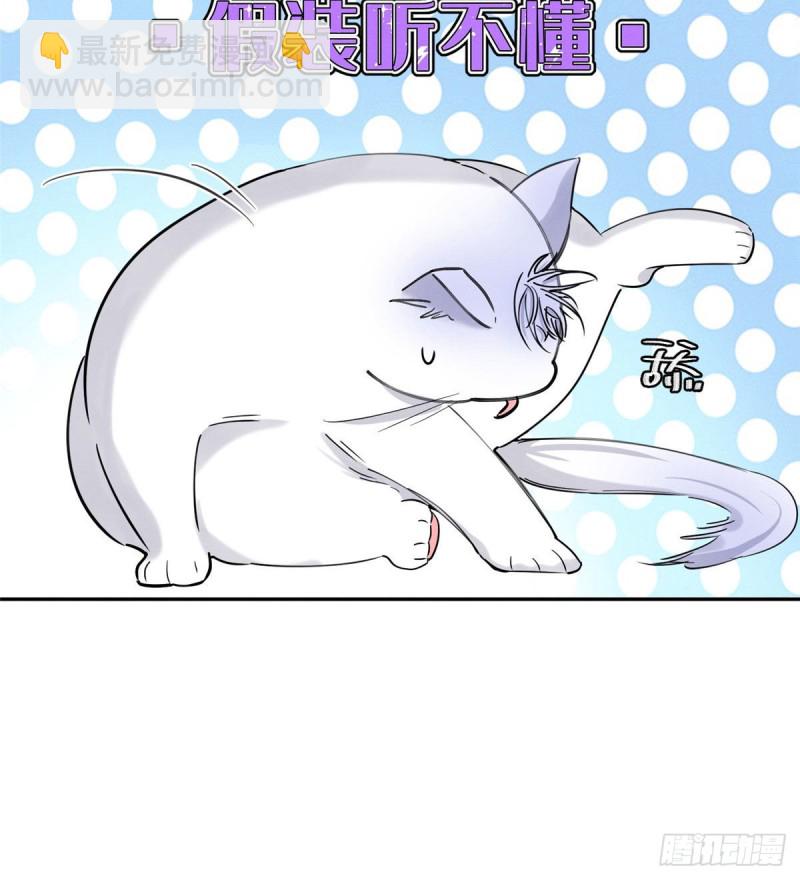 《今天也要努力当只猫》第37话 你就是裴臻 第16页