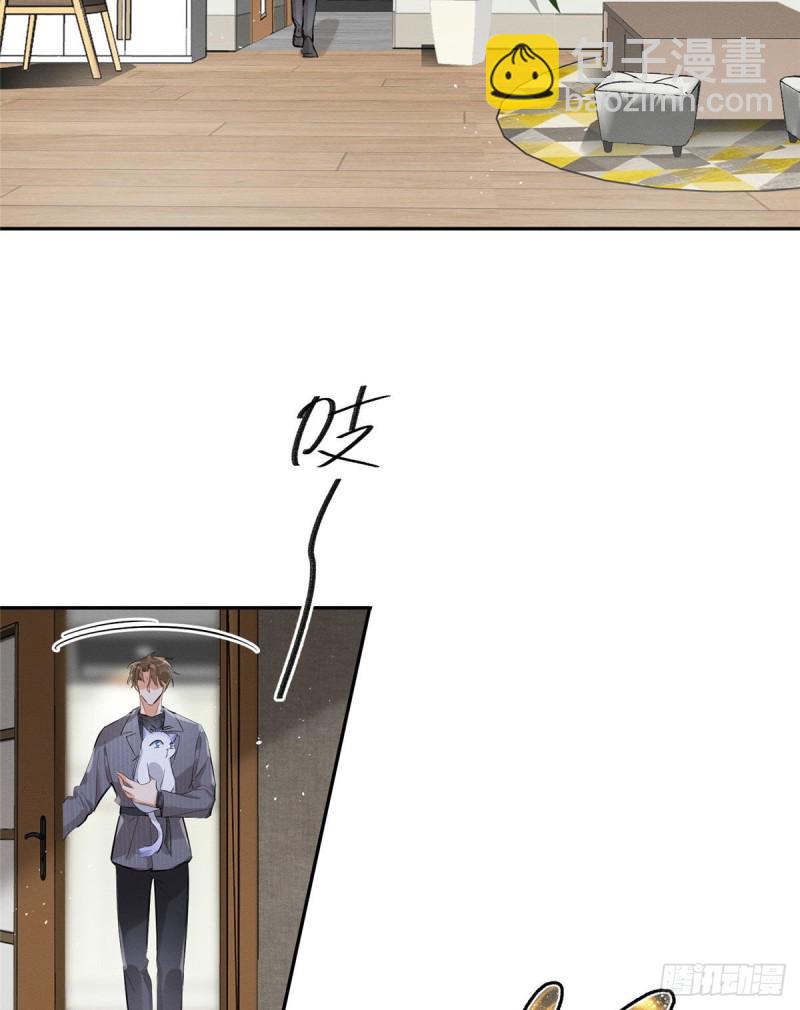 《今天也要努力当只猫》第37话 你就是裴臻 第20页