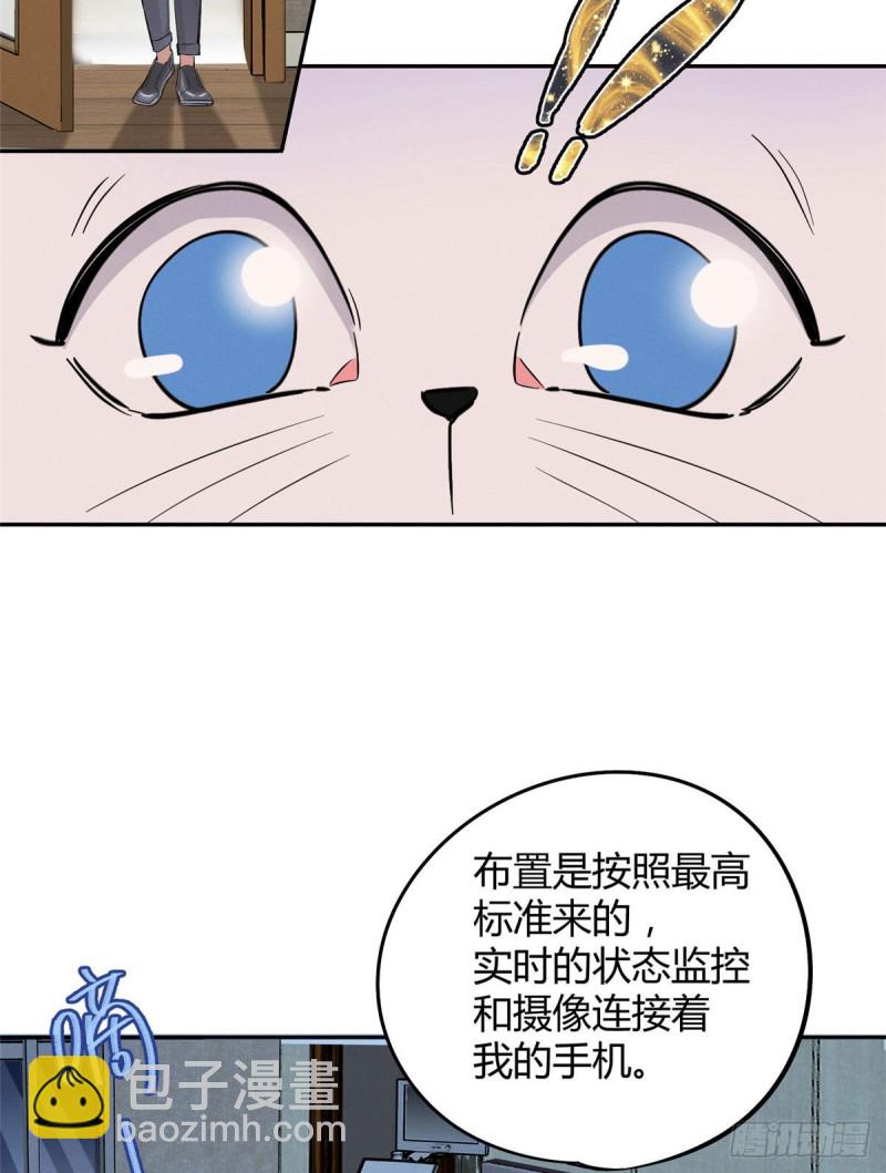 《今天也要努力当只猫》第37话 你就是裴臻 第21页