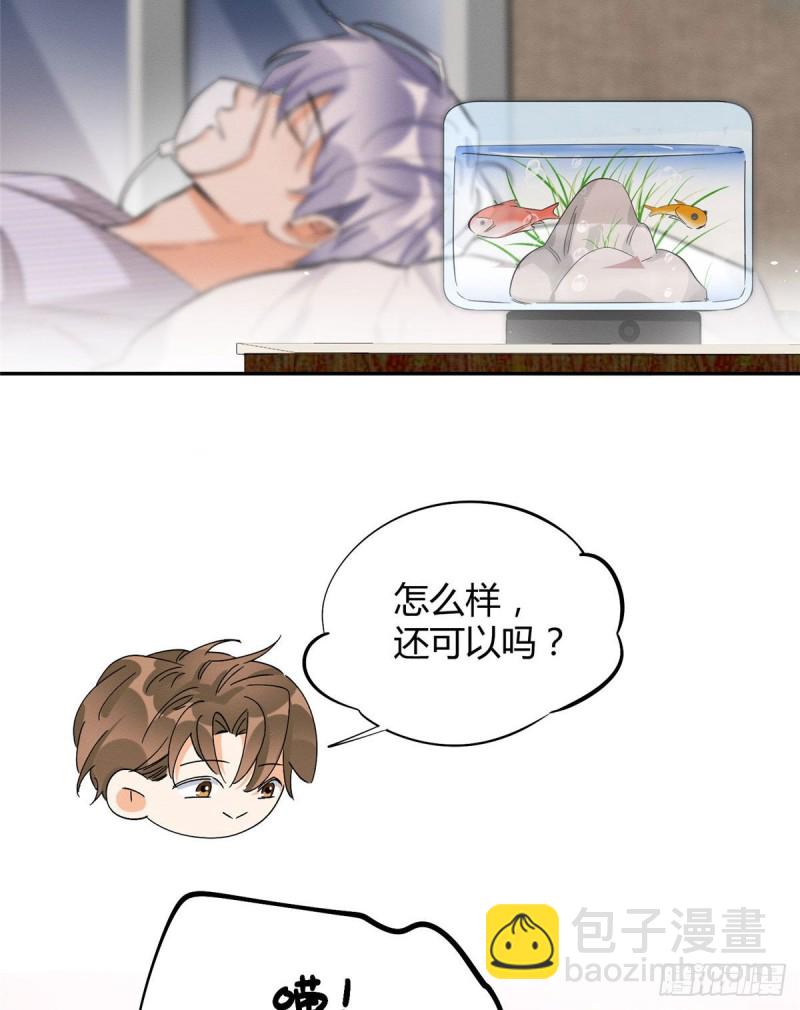 《今天也要努力当只猫》第37话 你就是裴臻 第23页