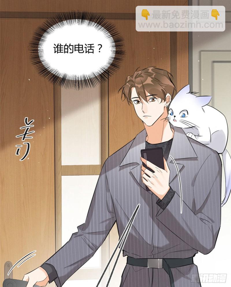 《今天也要努力当只猫》第37话 你就是裴臻 第28页