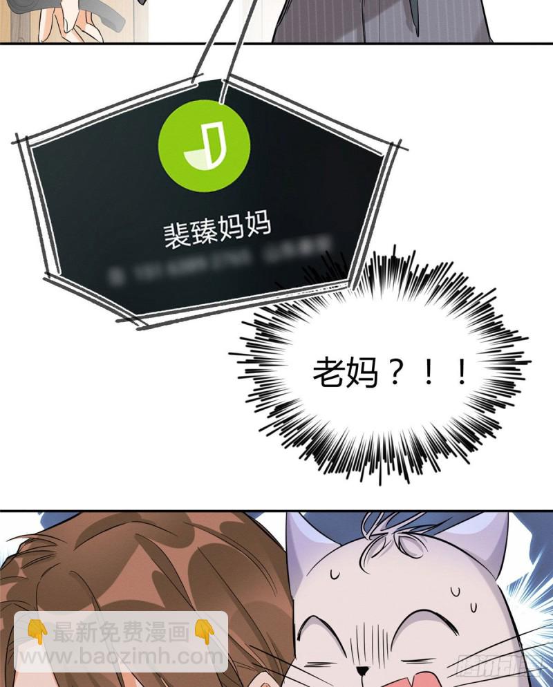 《今天也要努力当只猫》第37话 你就是裴臻 第29页