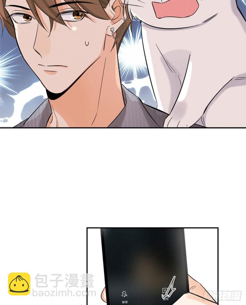 《今天也要努力当只猫》第37话 你就是裴臻 第30页