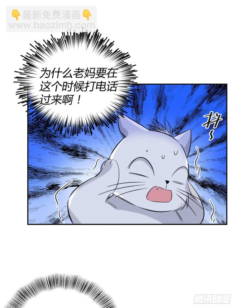 《今天也要努力当只猫》第37话 你就是裴臻 第34页